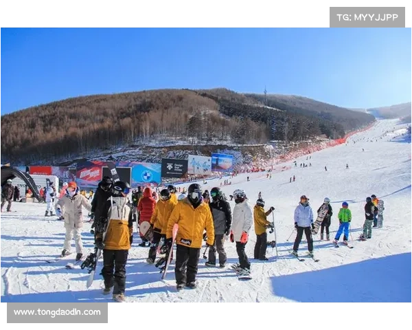 2017年冰雪赛事辉煌篇章：全球冬季竞技盛典点燃激情梦想