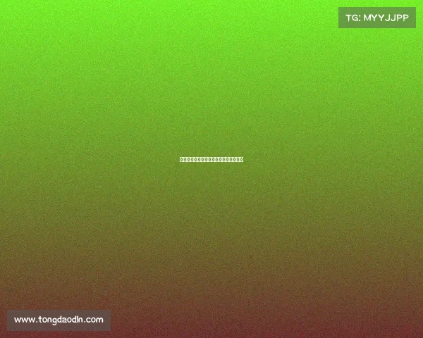 东亚赛事中心荟萃多元竞技盛事引领潮流