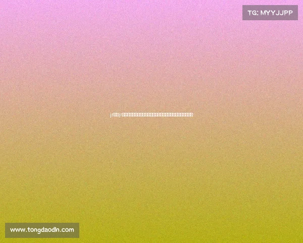 jr比赛jr赛事网打造青少年赛车赛事专业平台汇聚各类赛事信息实时更新