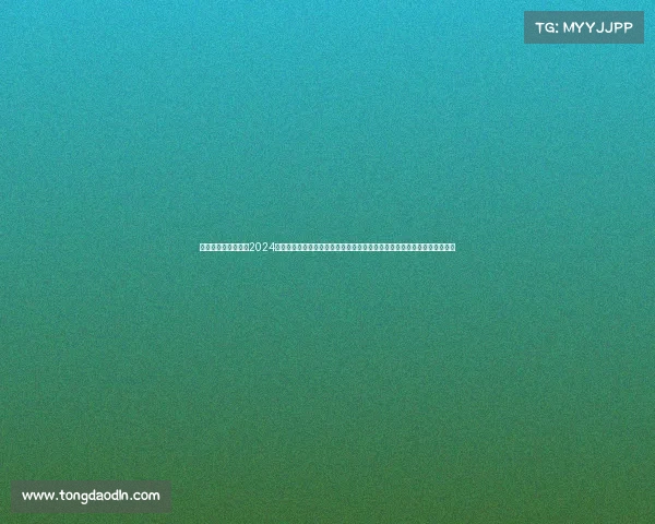 世界女排赛事时间表2024年赛程表—全球女子排球锦标赛联赛与邀请赛所有赛事全面回顾及未来展望