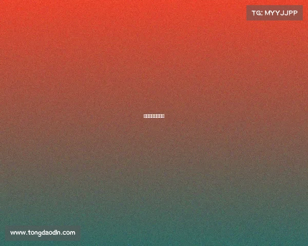 体育比赛报名入口