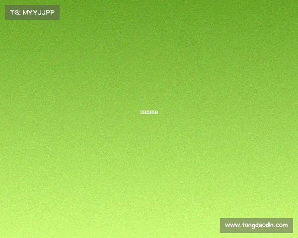 国际田联锦标赛