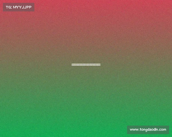 法国女足中国赛事激情对决荣耀之战精彩上演