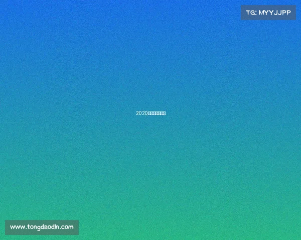 2020辽宁台球锦标赛