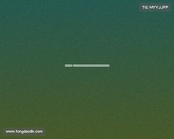 塞尔比晋级-二零二四年马克塞尔比斯诺克巅峰赛事荣耀之战激情开启