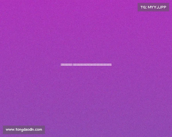 女排最新赛事直播 中国女排最新国际大赛巅峰对决火热直播进行中精彩不容错过