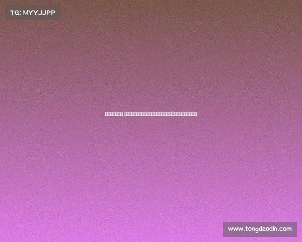 最新武林风赛事,武林风最新赛事热血对决荣耀之战顶尖高手擂台争霸展现武术精髓