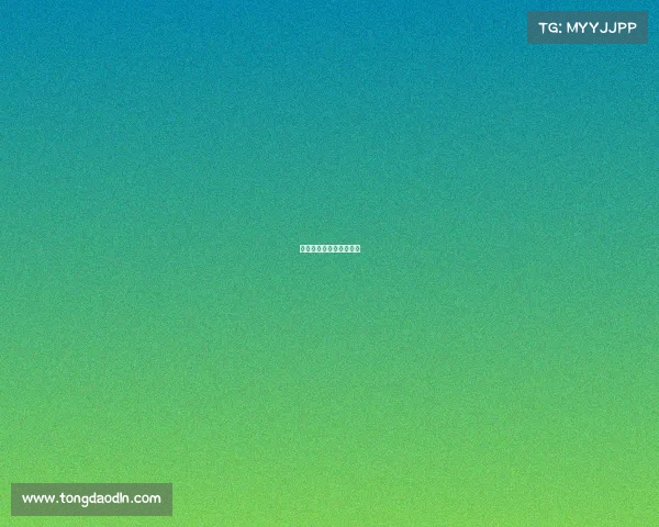 琳篮球赛事、搜索林篮网