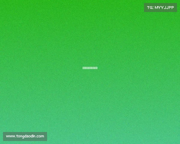 女排今晚赛事安排时间